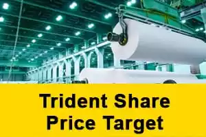 Trident Share Price Target